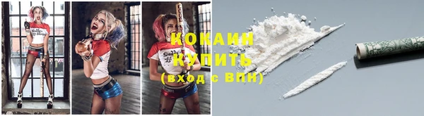 крисы Арсеньев