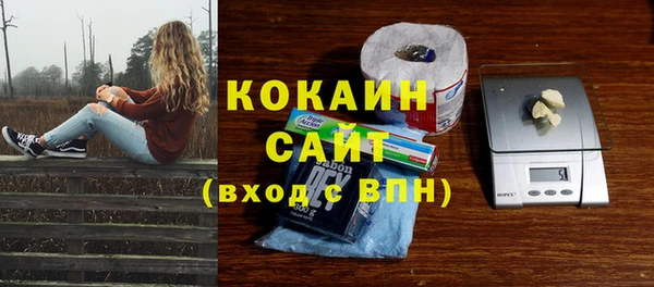 крисы Арсеньев