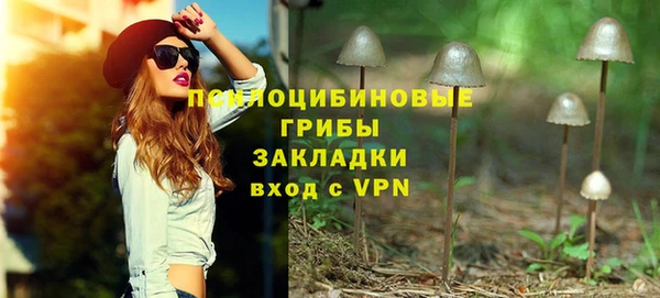 эйфоретик Аркадак