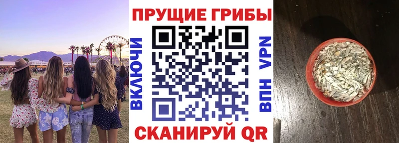 даркнет сайт  Феодосия  Галлюциногенные грибы прущие грибы 